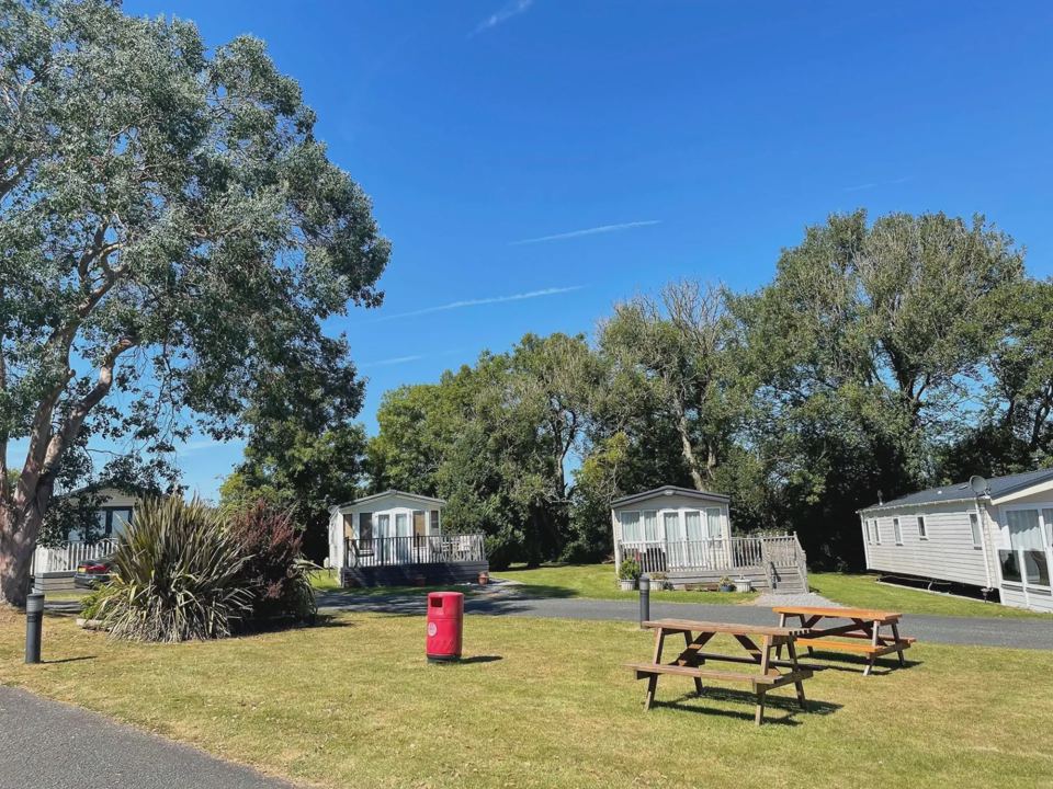 Picnic benches by the caravans