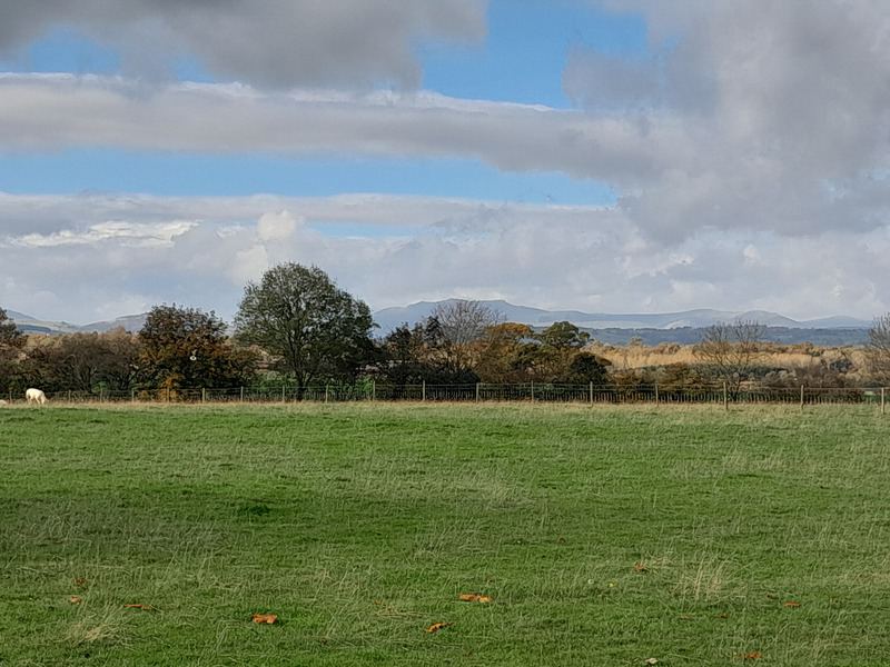 Grass field with hills beyond