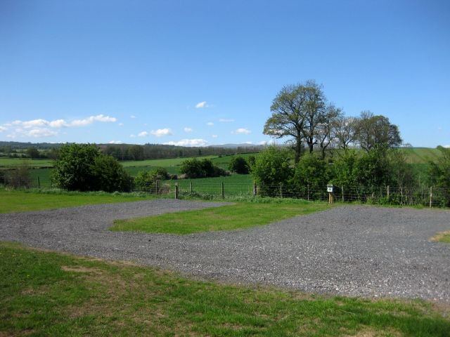 Gravel pitch beside the tree