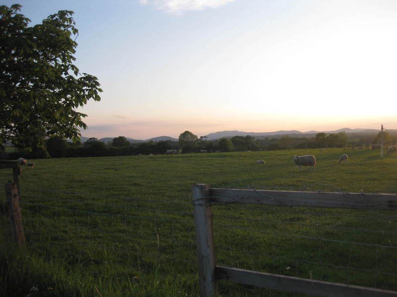 Field at sunset with hills beyond