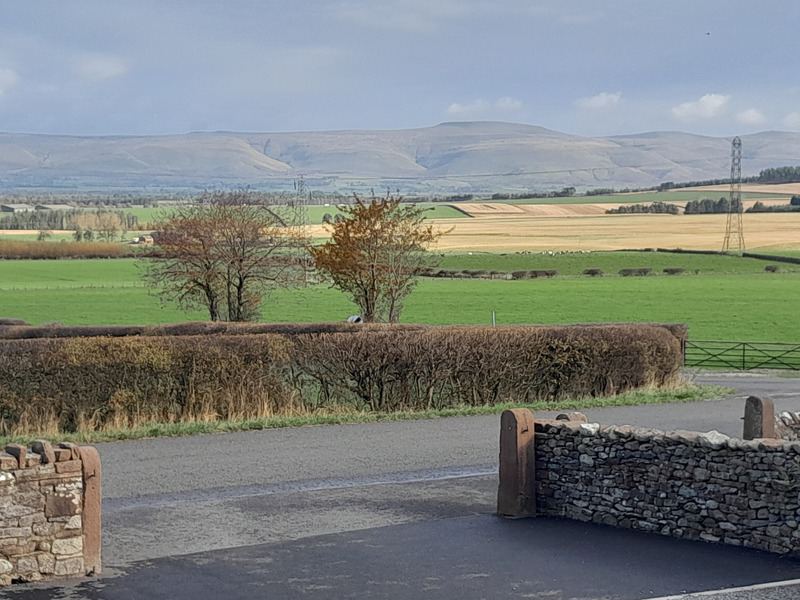 Entrance road and stone walls