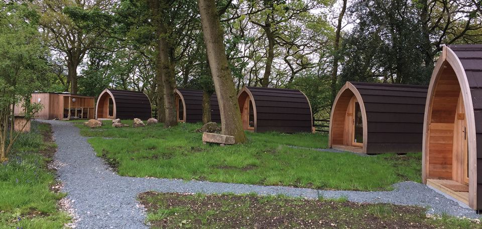 Row of camping pods in the trees