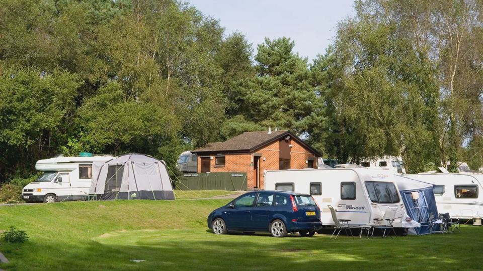 Caravans in a woodland clearing