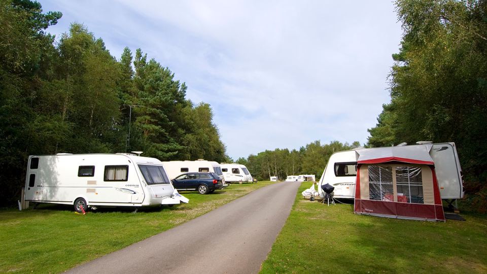 Pitches beside the site road