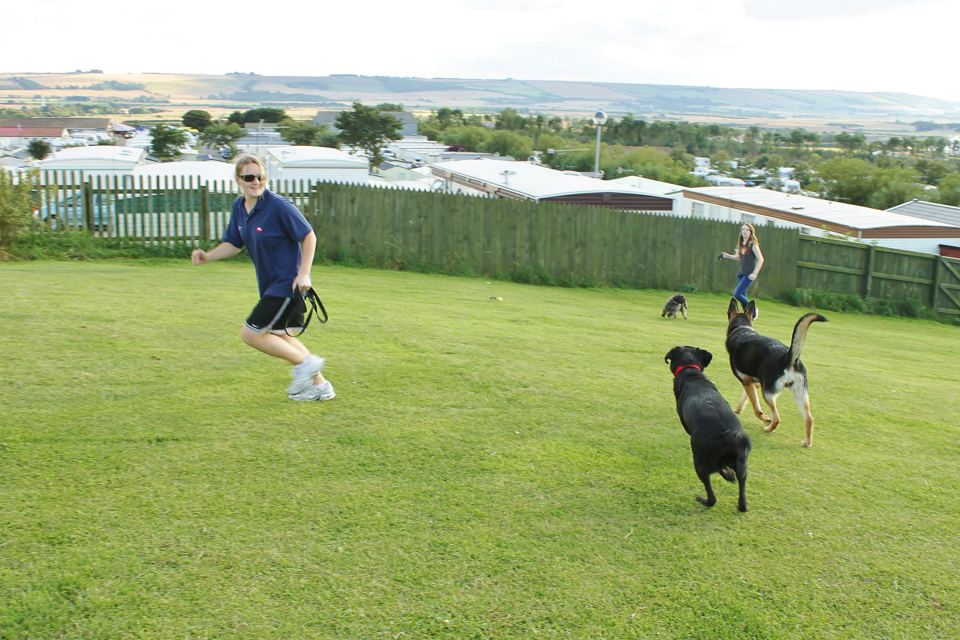 Dog park on the grass