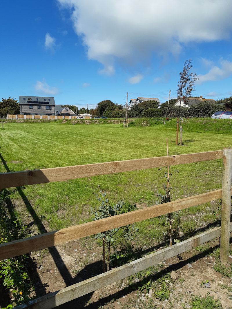 Field with post and rail fence