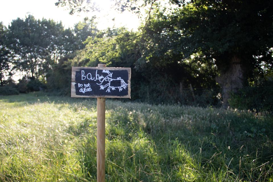 Grass pitching field