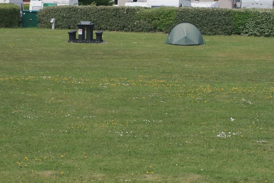 Tent pitch with picnic table