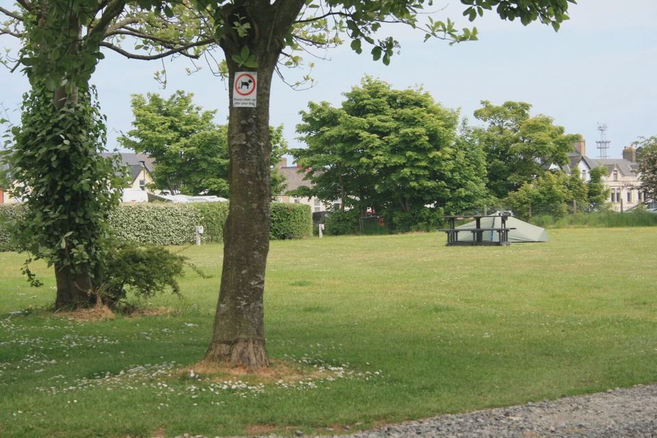 Grass and trees on site