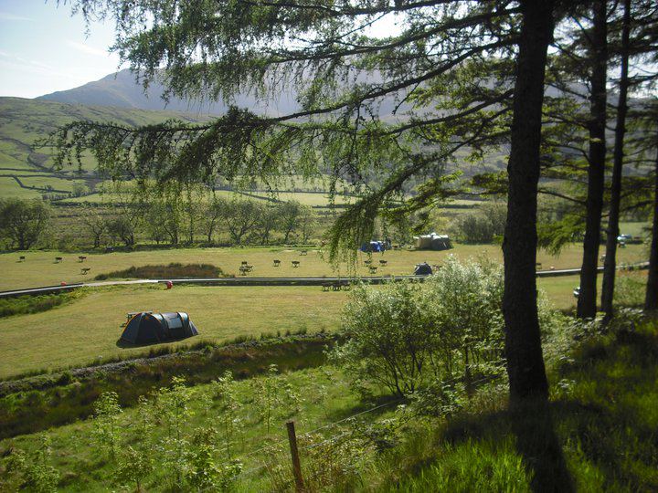 Camping field below the trees
