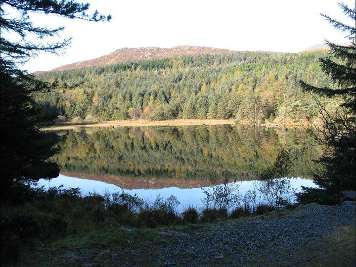 Lake and forest