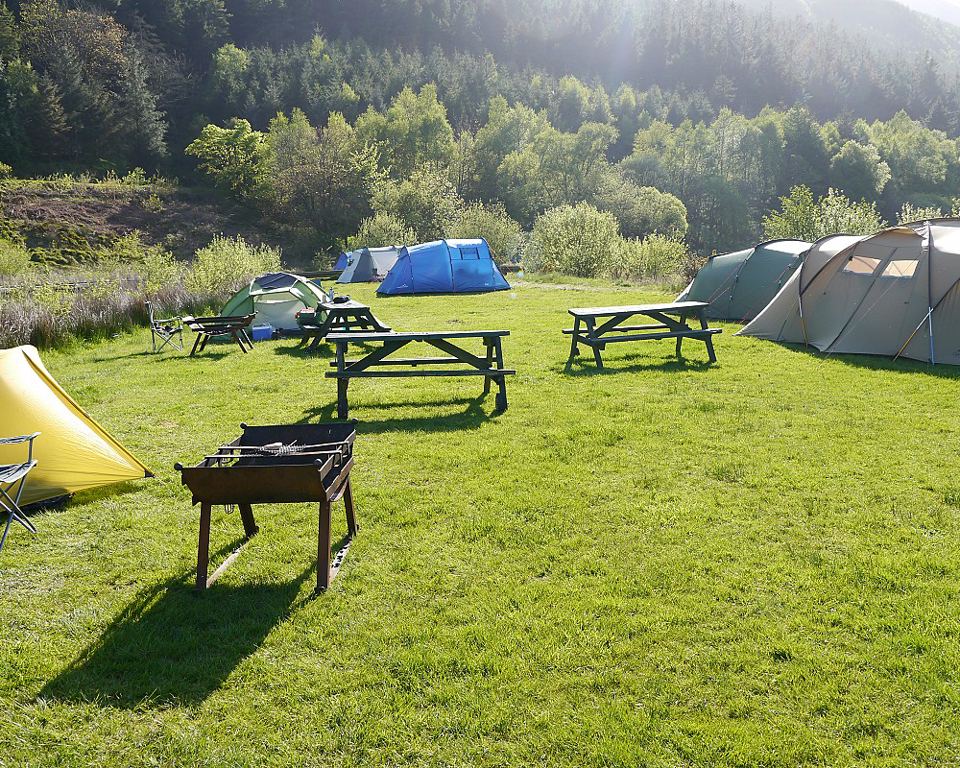 Tents and fire pit on the field