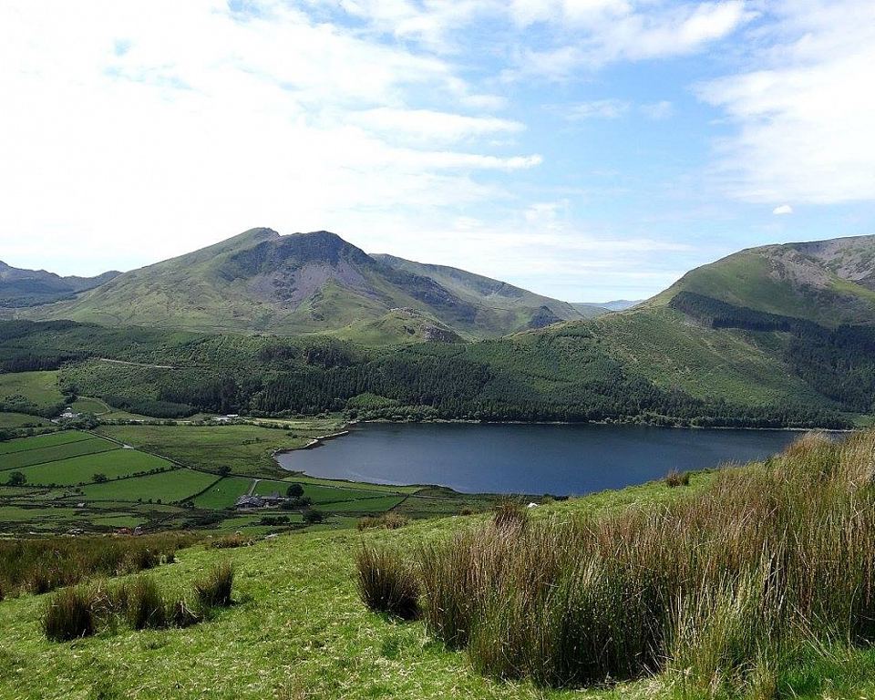 Llyn Cwellyn from the hillside