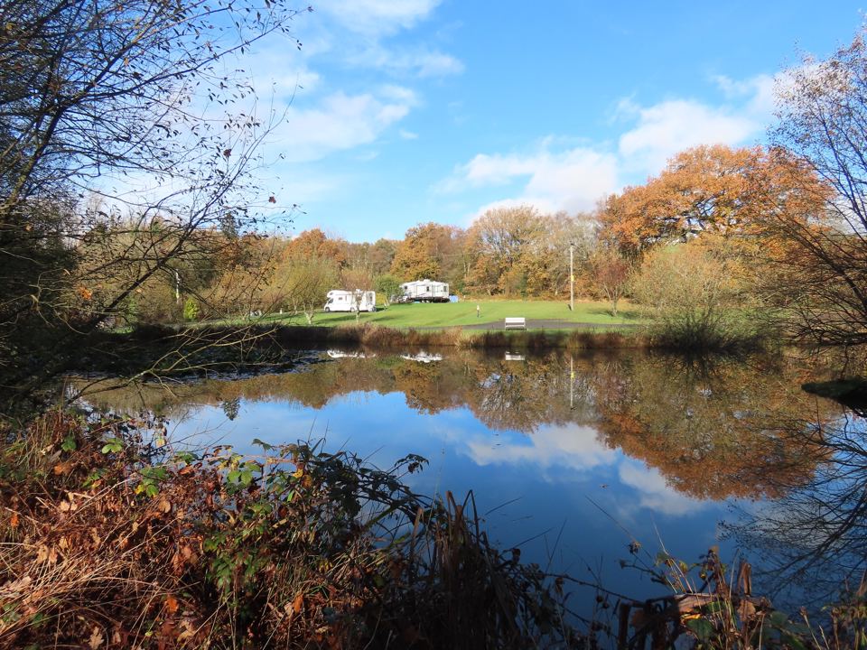 Pond in autumn colour
