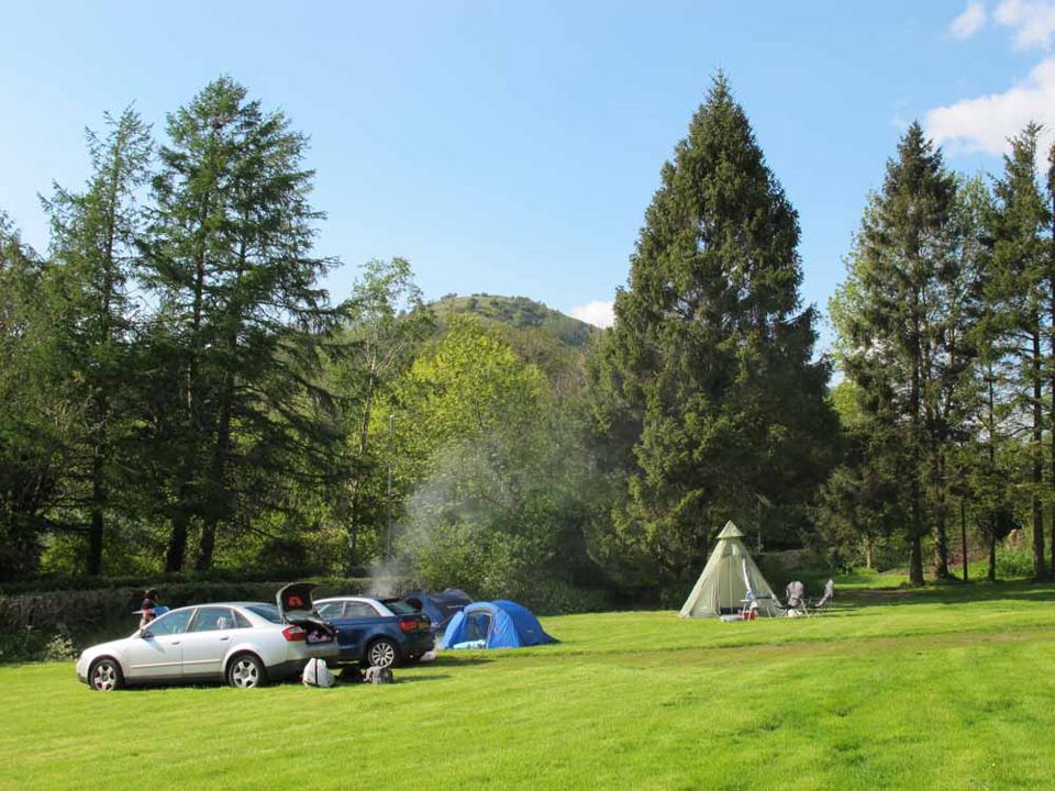 Tents on the grass