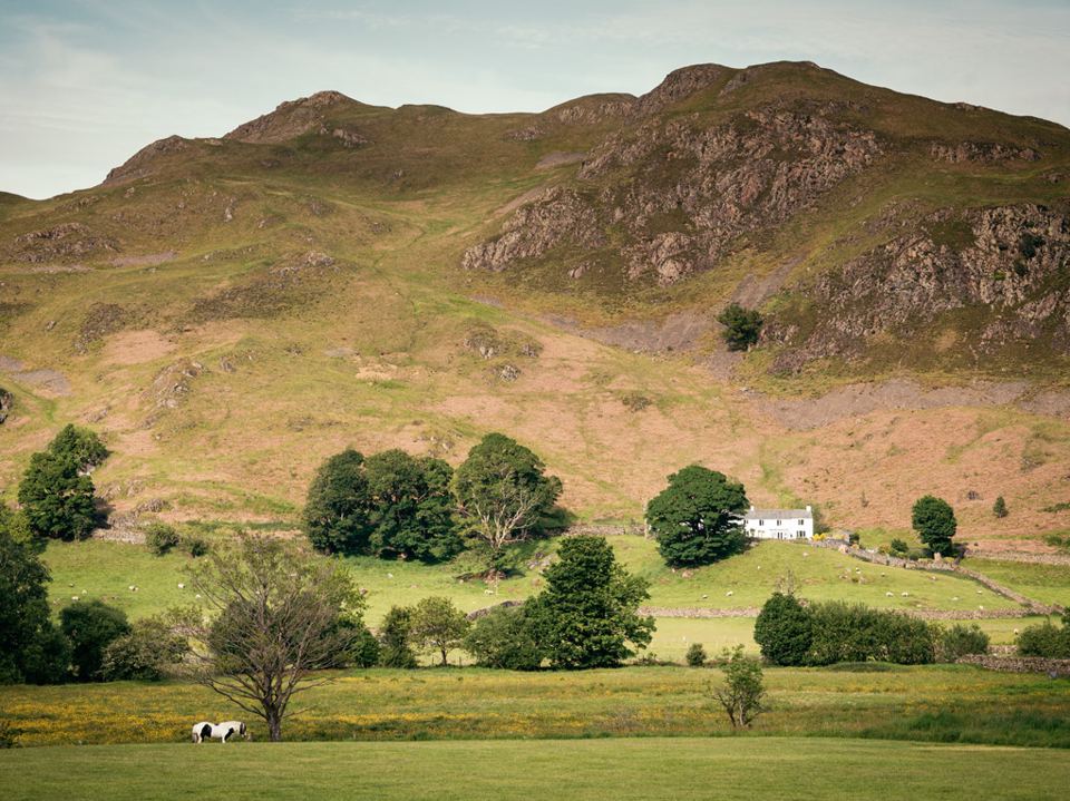 Farm fields below the fells