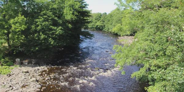 River beside the park