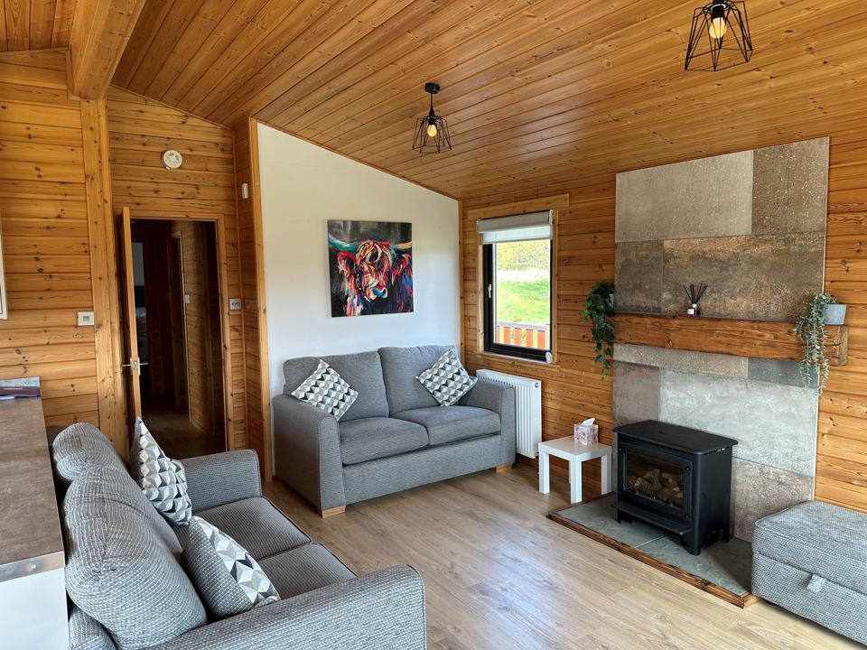 Living room with stove