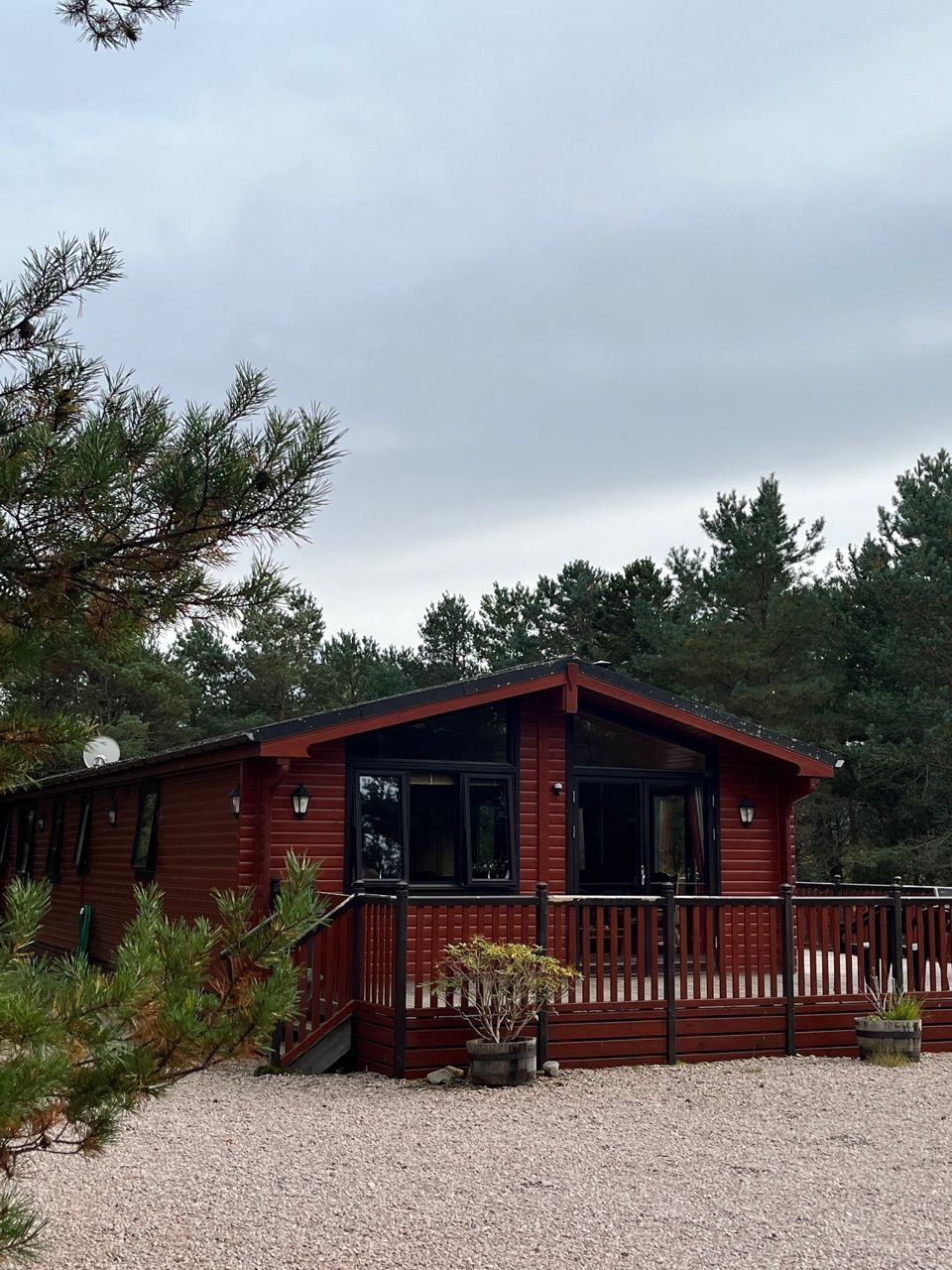 Chalet among pines