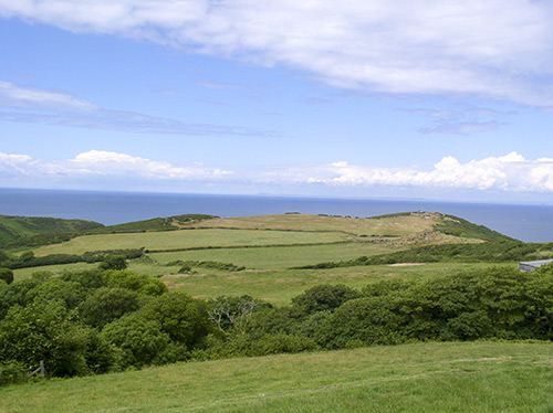 Coastal hills and green fields