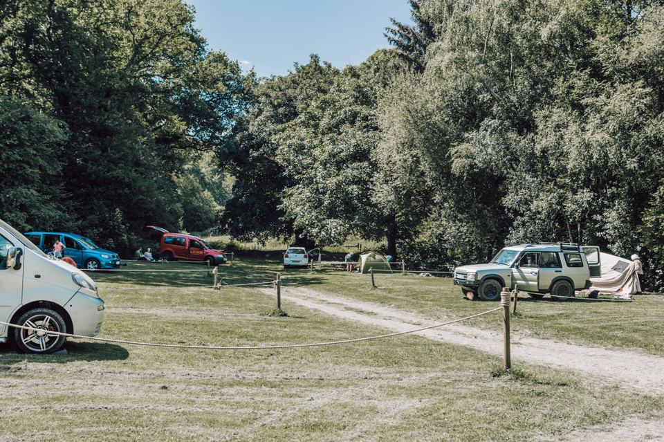 Camping field among trees