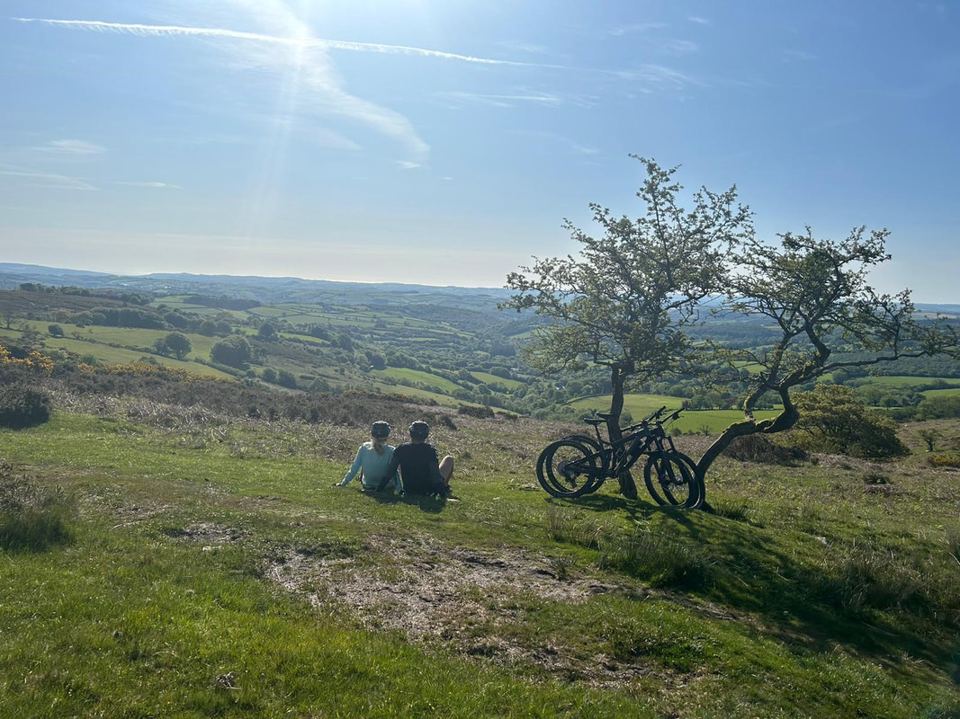 Hillside view with bikes