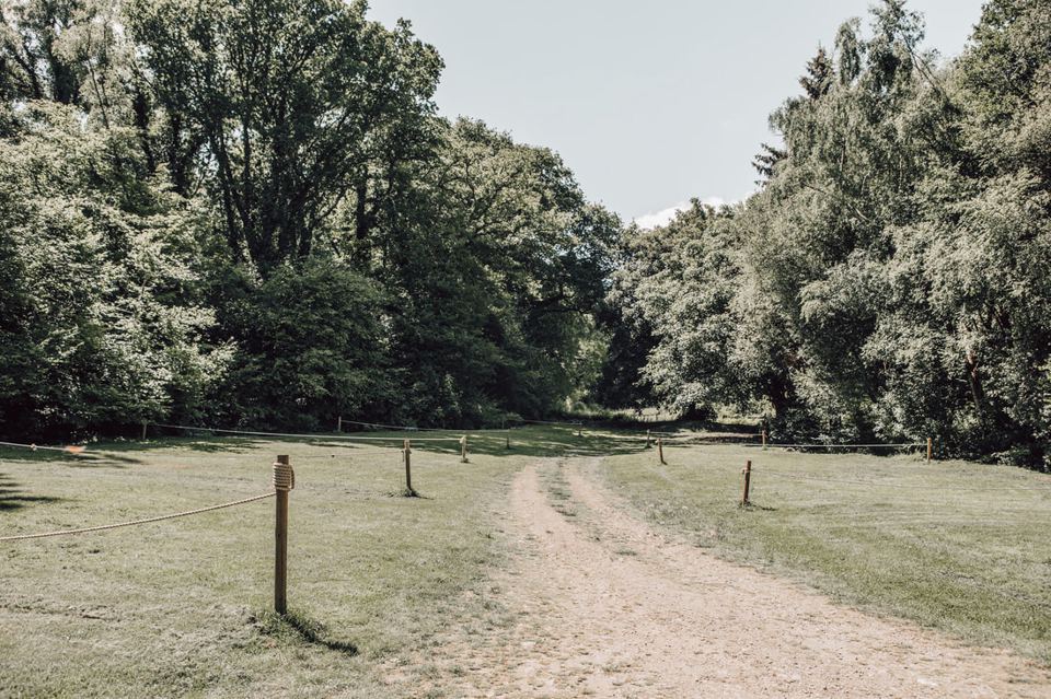Path through the field