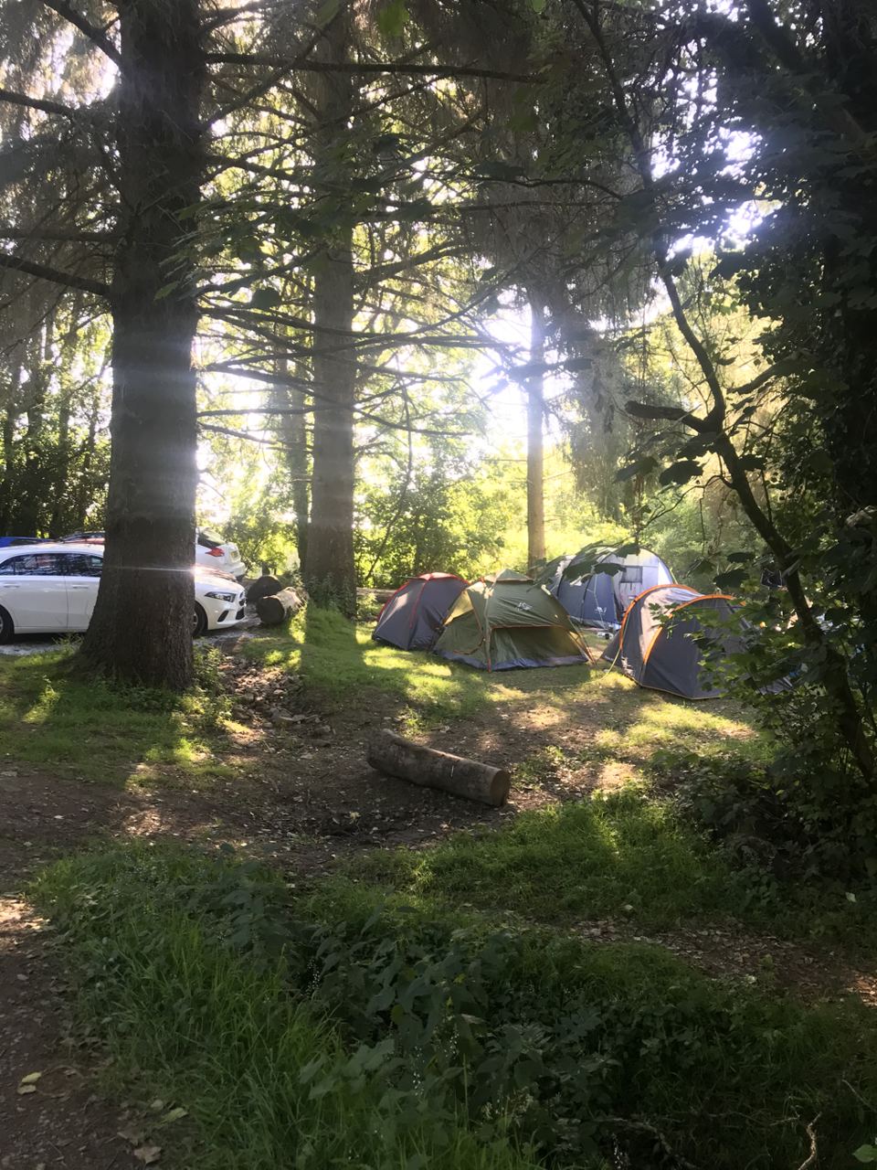 Tent pitch under the trees