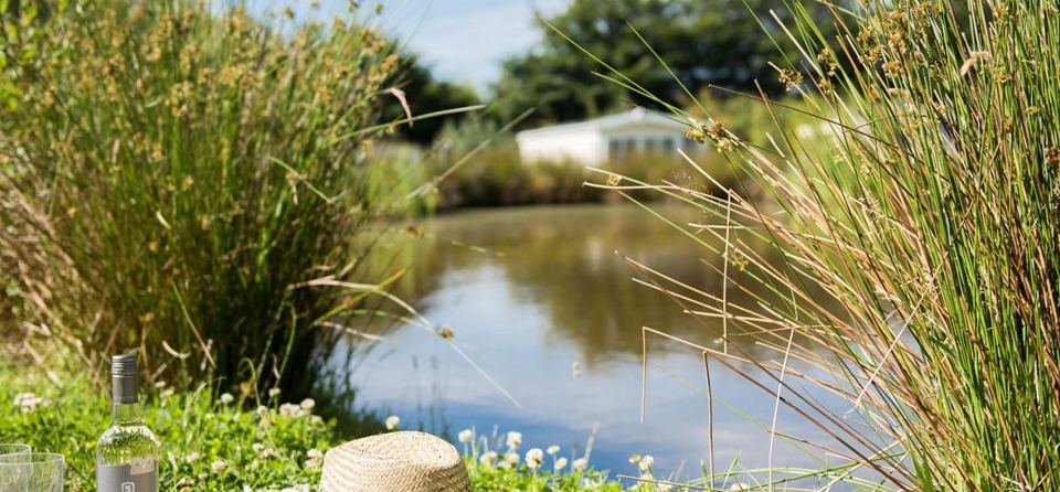 Pond among the reeds