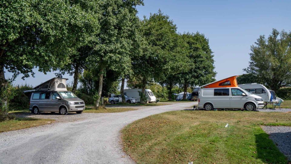 Pitches under trees with vans