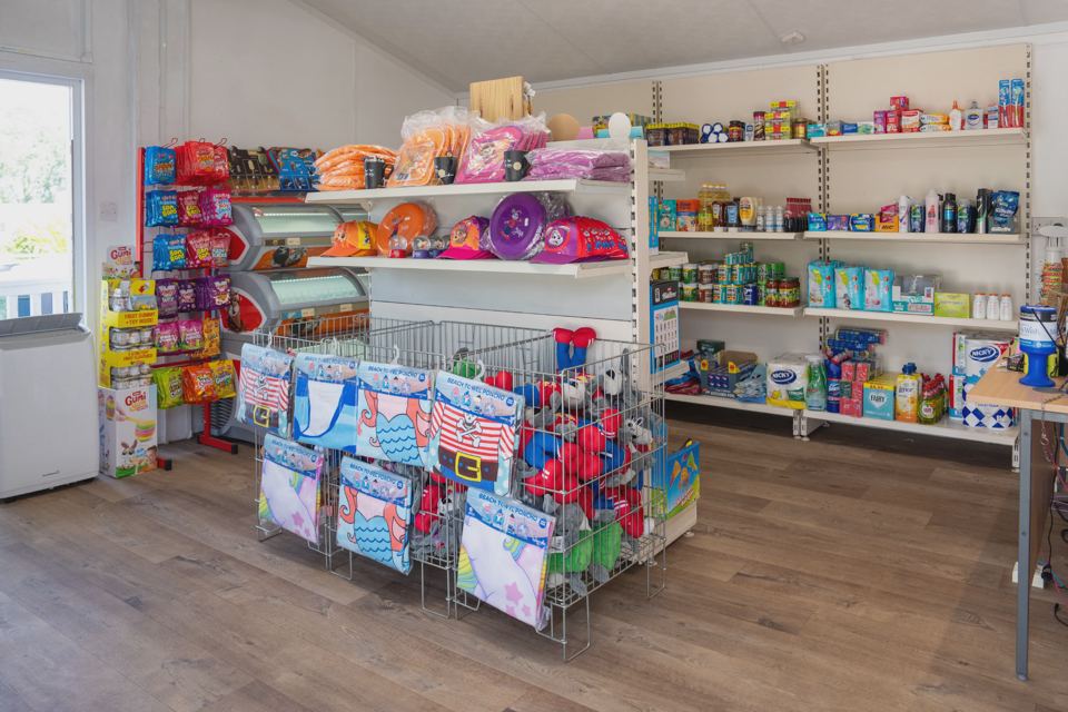 Shop shelves with toys and supplies