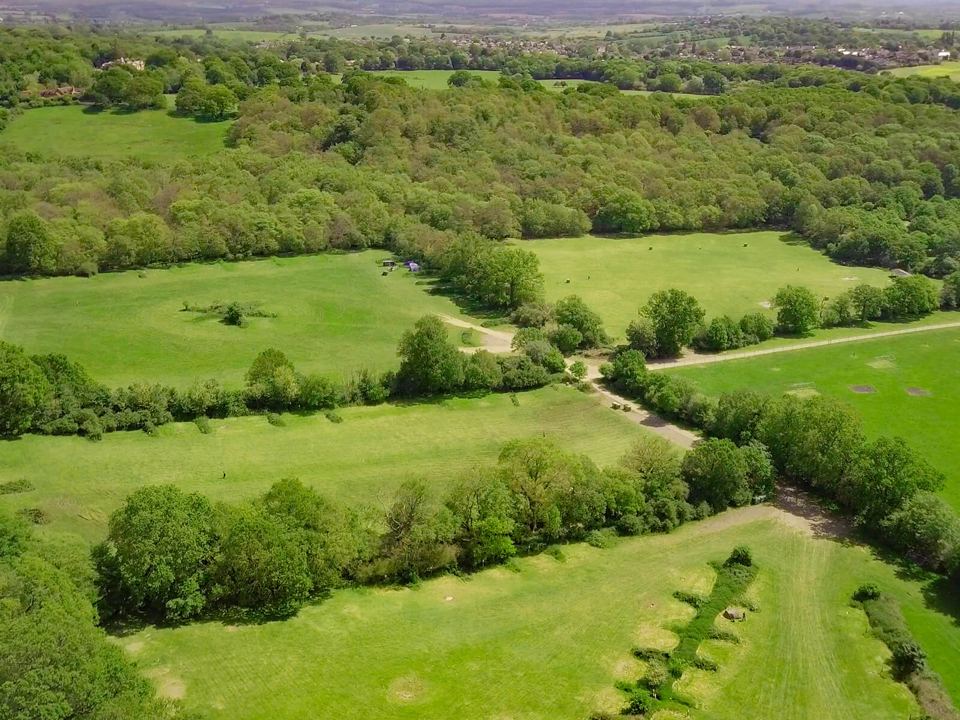Fields and forest from above