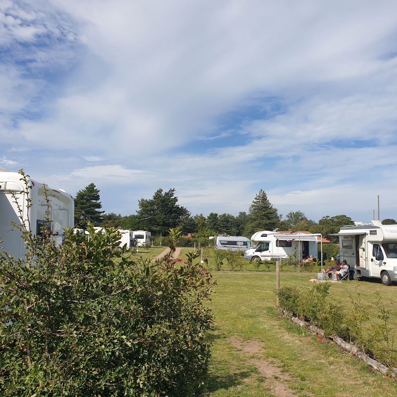 Motorhomes in the hedged paddocks