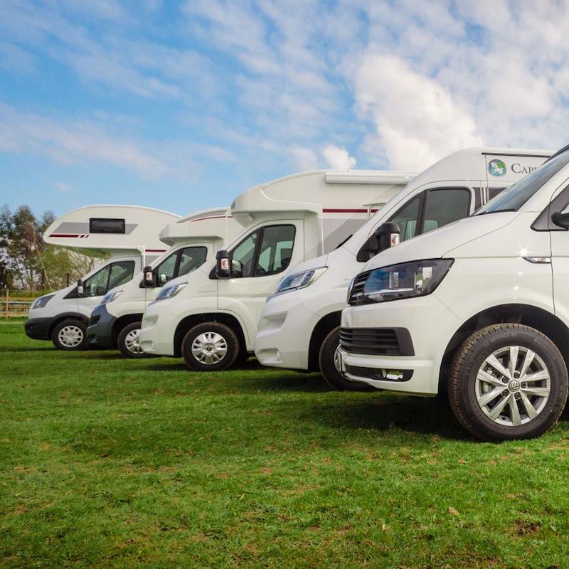 Motorhomes lined up on grass