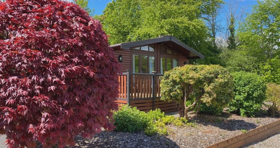 Lodge among the trees