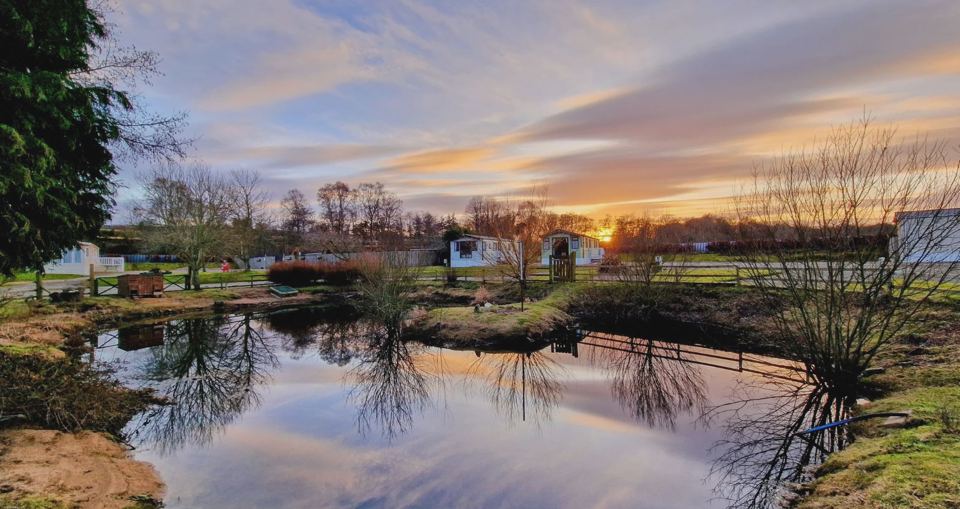 Pond at sunset
