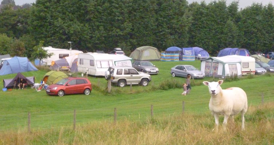 Touring pitches with a sheep