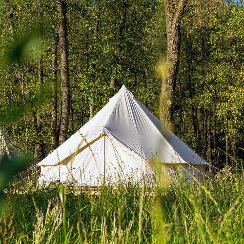 Bell tent in the woods edge