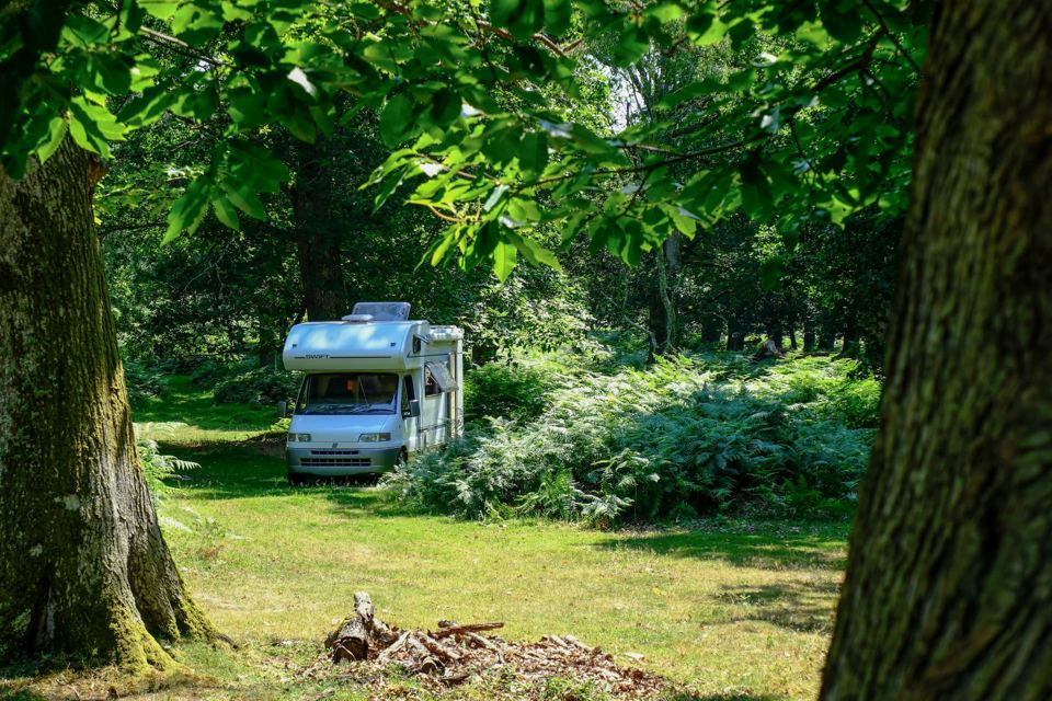 Motorhome tucked among the trees