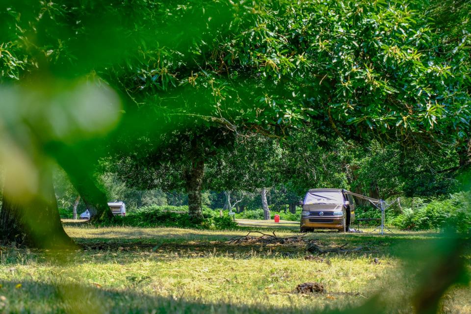 Camper in the woodland