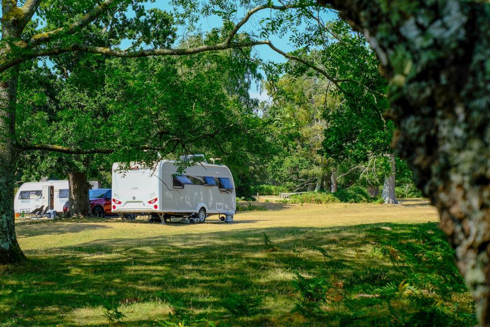 Caravans under the trees