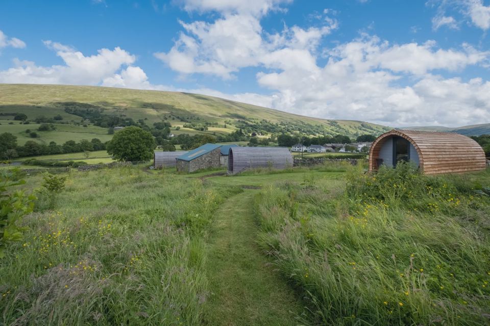 Pods in the meadow below the hills