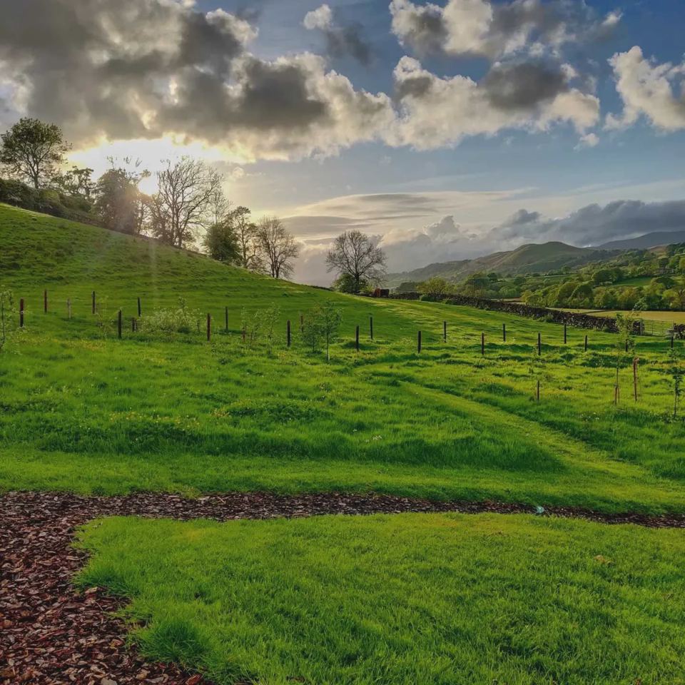 Green fields and hills