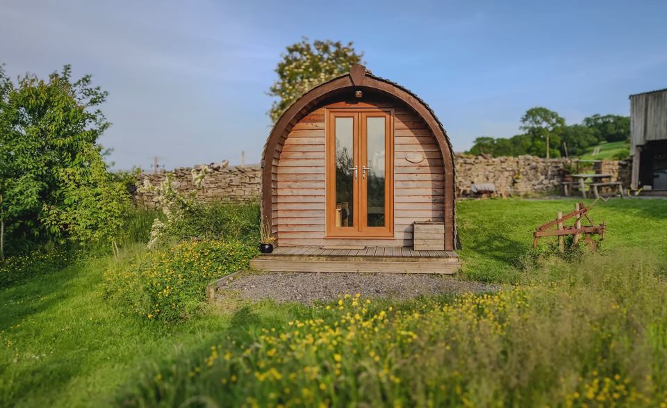 Pod in the meadow by the wall
