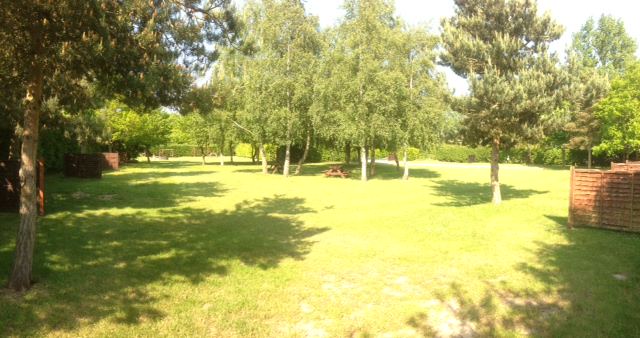 Grassy tent area
