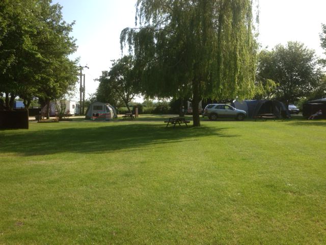 Tent field with trees