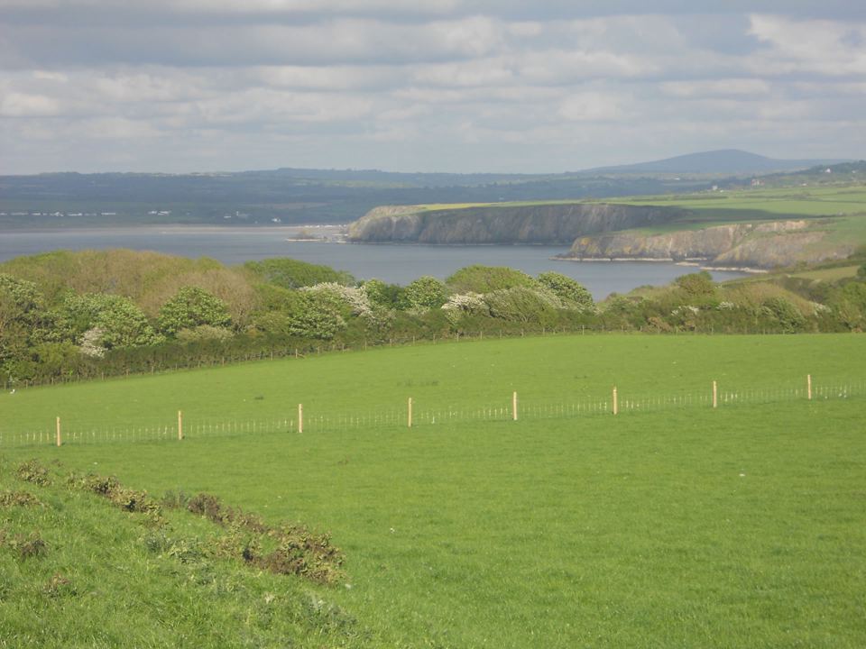 Field above Newport Bay