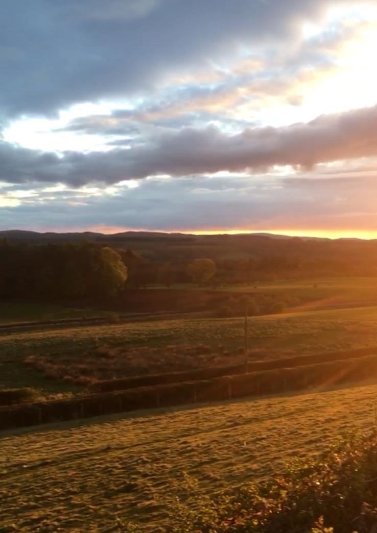 Sunset over the fields