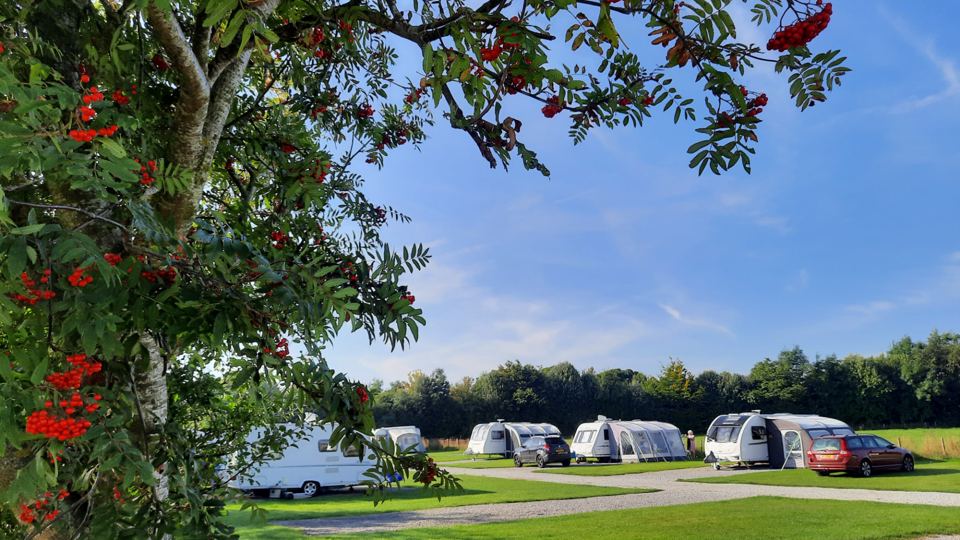 Caravans on the pitches