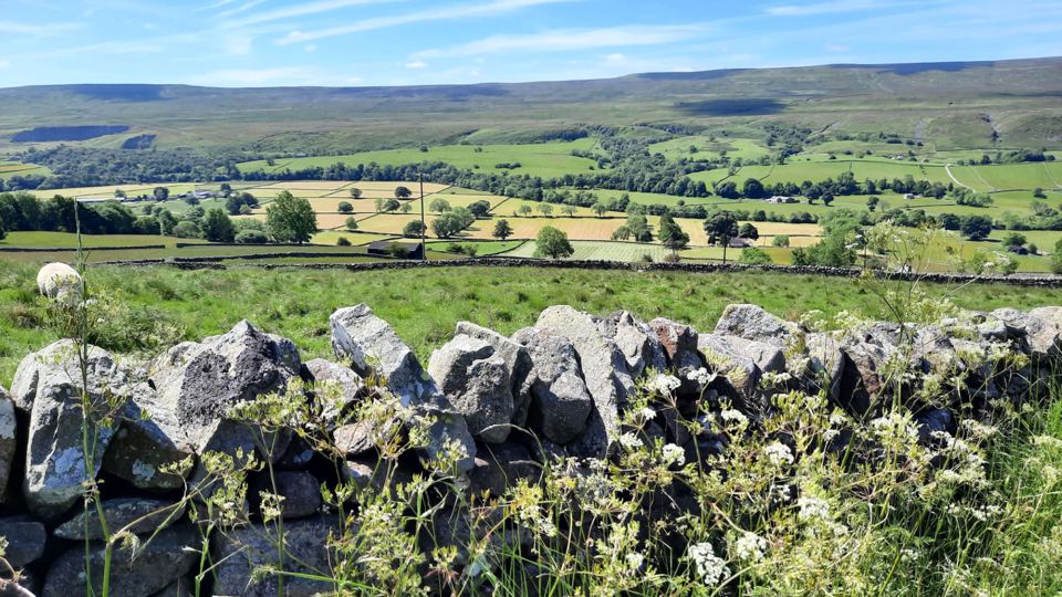 Teesdale view over a wall